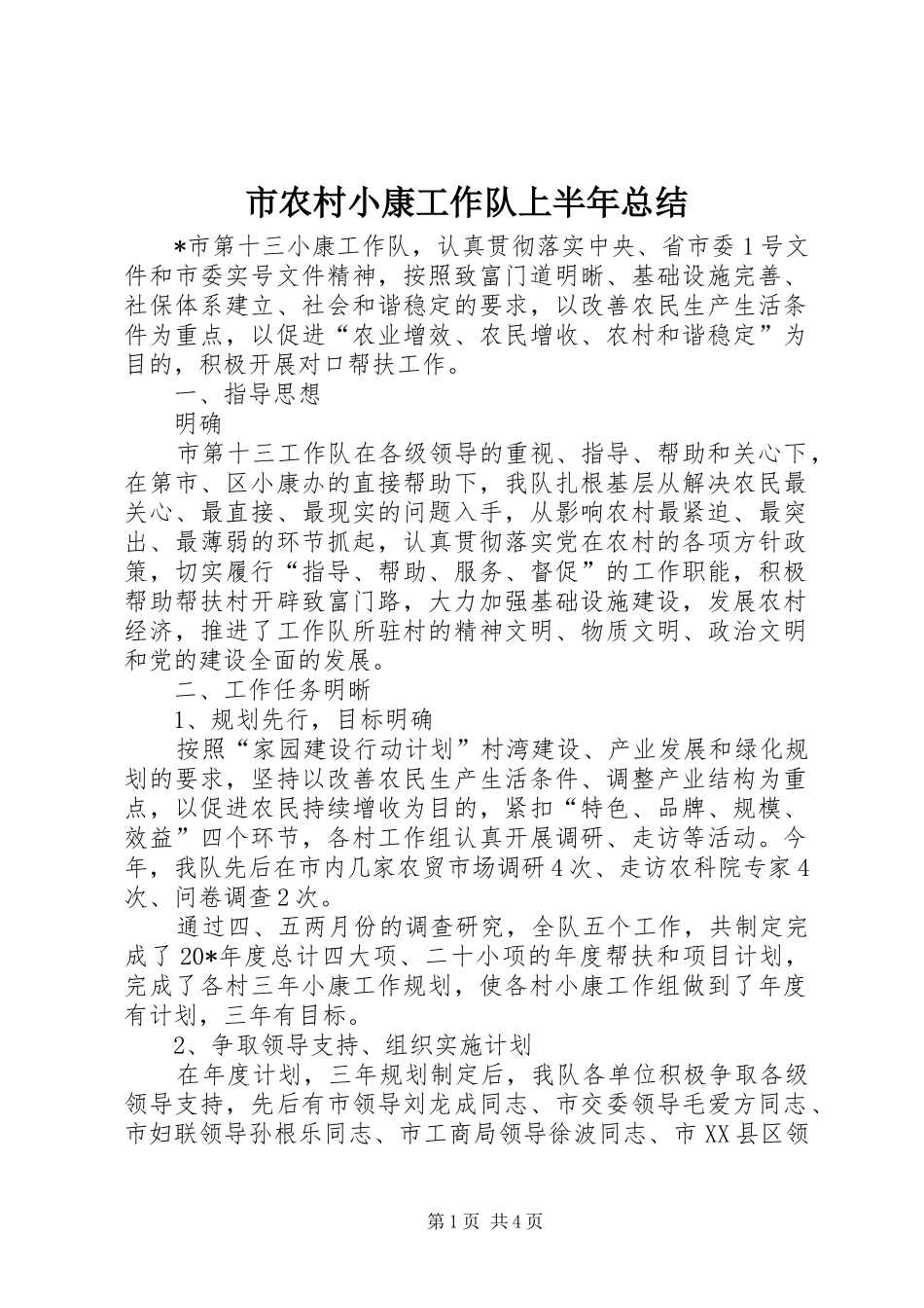 2024年市农村小康工作队上半年总结_第1页