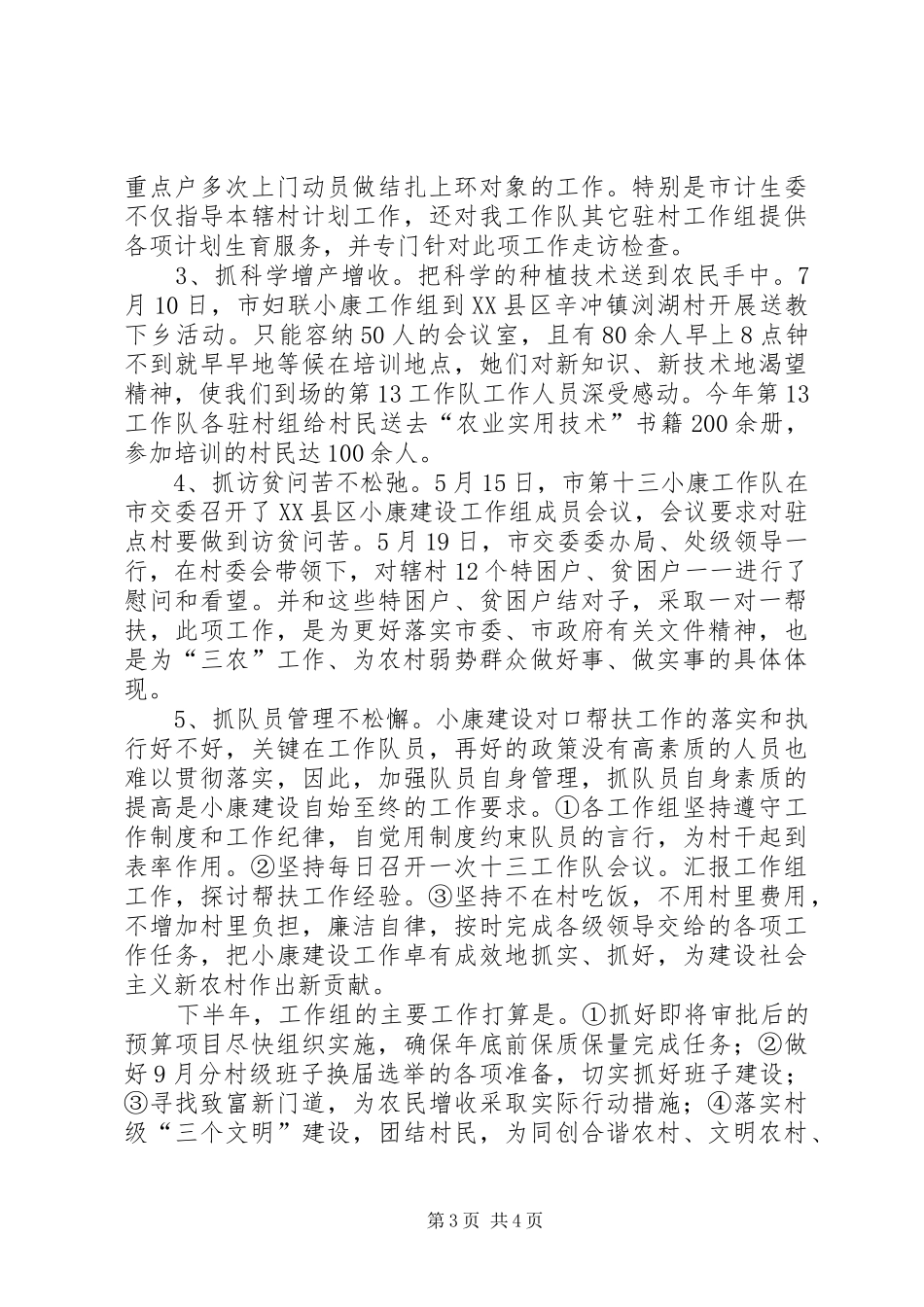 2024年市农村小康工作队上半年总结_第3页