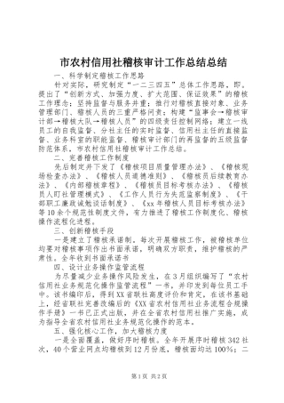 2024年市农村信用社稽核审计工作总结总结