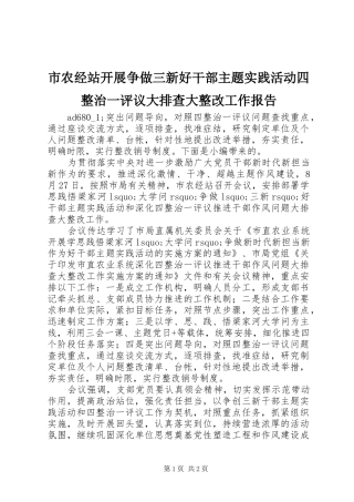 2024年市农经站开展争做三新好干部主题实践活动四整治一评议大排查大整改工作报告