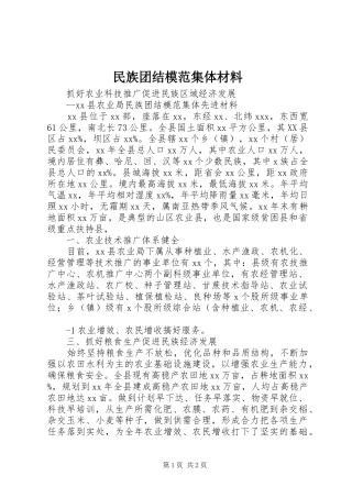 2024年民族团结模范集体材料