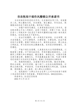 2024年市农牧局干部作风整顿公开承诺书