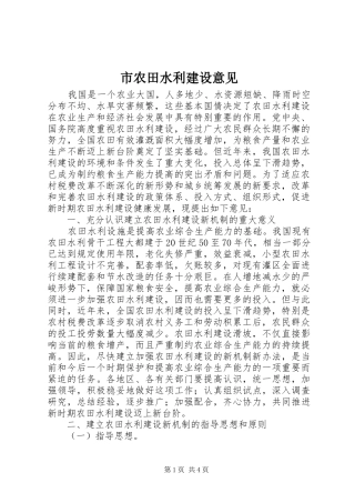 2024年市农田水利建设意见
