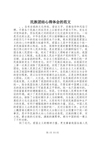 2024年民族团结心得体会的范文