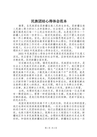 2024年民族团结心得体会范本