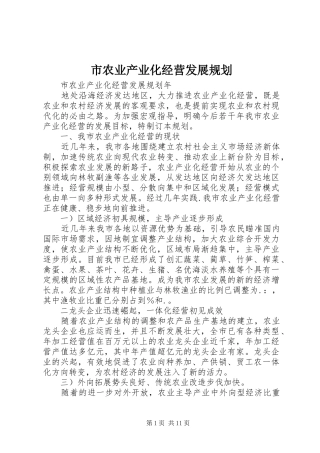 2024年市农业产业化经营发展规划