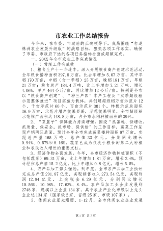 2024年市农业工作总结报告