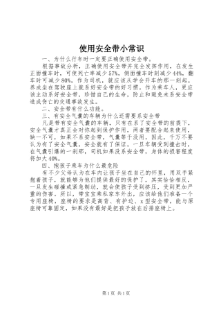 2024年使用安全带小常识