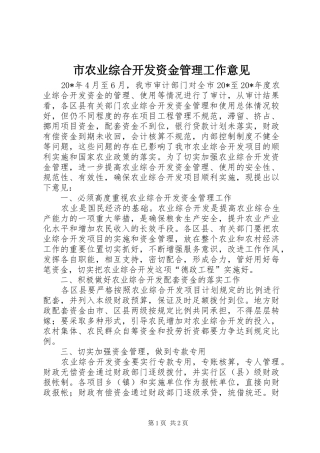 2024年市农业综合开发资金管理工作意见