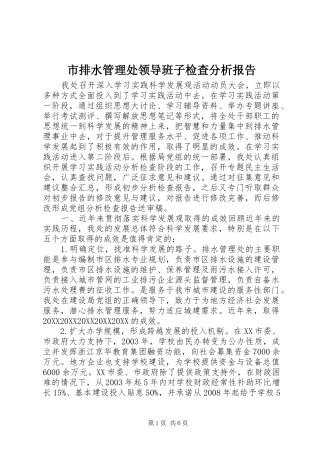 2024年市排水管理处领导班子检查分析报告