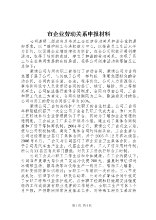 2024年市企业劳动关系申报材料