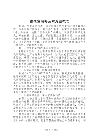 2024年市气象局办公室总结范文