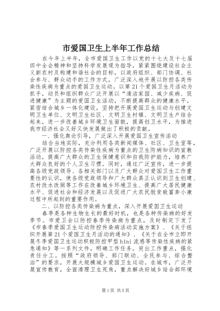 2024年市爱国卫生上半年工作总结