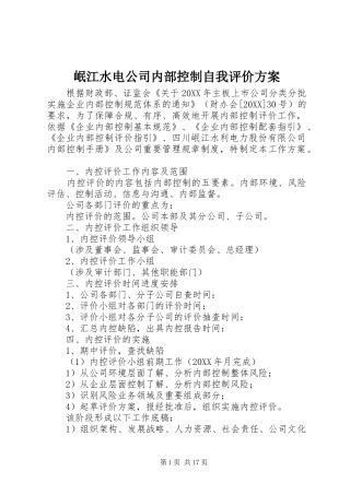 2024年岷江水电公司内部控制自我评价方案