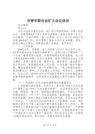 2024年市青年联合会扩大会议致辞