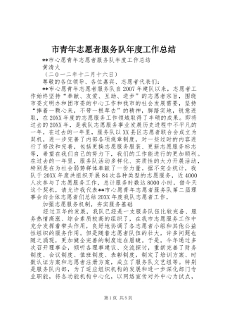 2024年市青年志愿者服务队年度工作总结