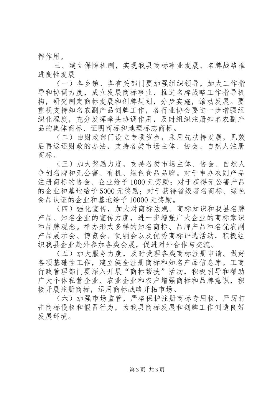2024年名牌商标战略意见_第3页
