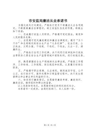 2024年市安监局廉洁从业承诺书
