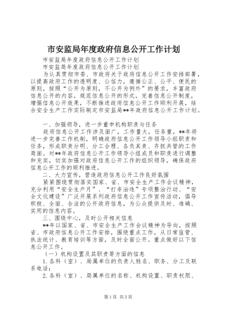 2024年市安监局年度政府信息公开工作计划
