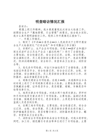 2024年明查暗访情况汇报