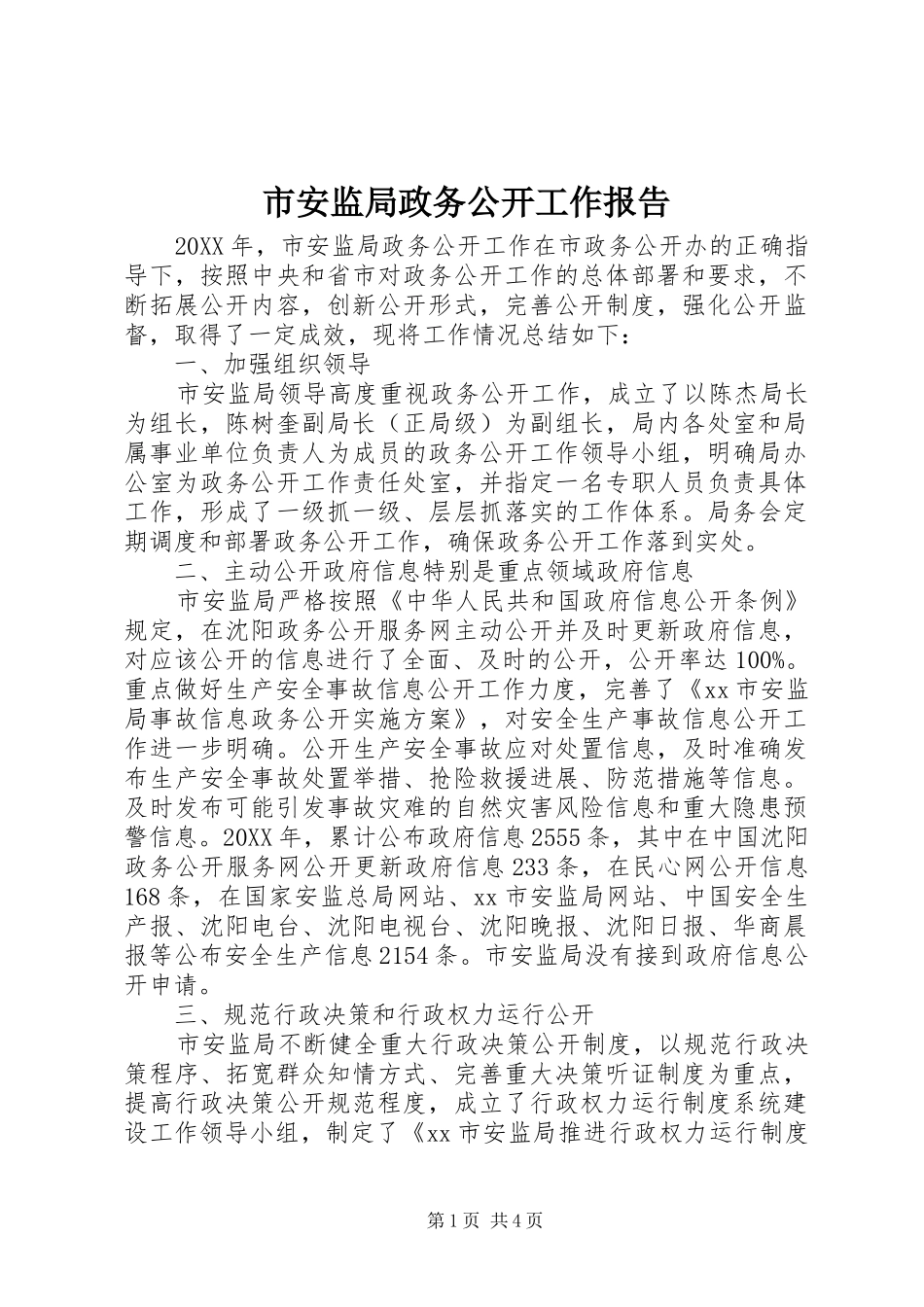 2024年市安监局政务公开工作报告_第1页