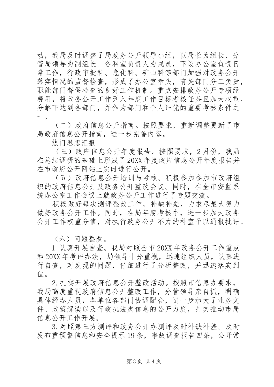 2024年市安监局政务公开工作总结_第3页