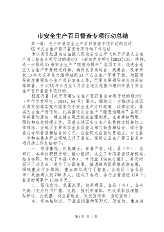 2024年市安全生产百日督查专项行动总结