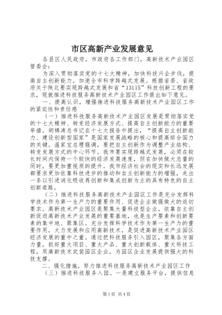 2024年市区高新产业发展意见