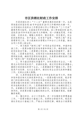 2024年市区供销社财政工作安排