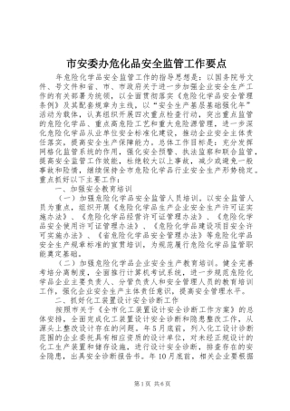 2024年市安委办危化品安全监管工作要点