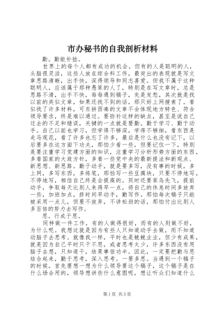 2024年市办秘书的自我剖析材料