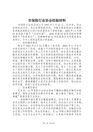 2024年市保险行业协会经验材料