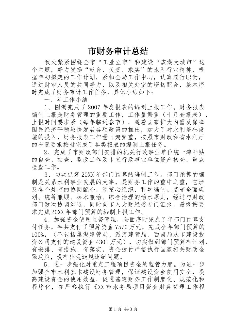 2024年市财务审计总结_第1页