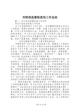 2024年市财政监督检查局工作总结