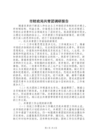 2024年市财政局共青团调研报告