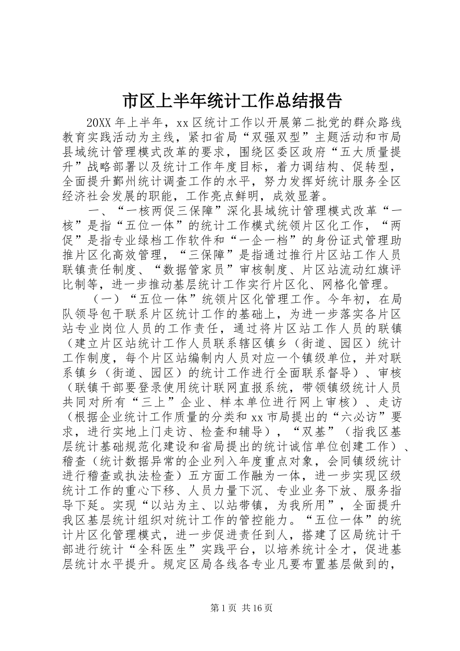 2024年市区上半年统计工作总结报告_第1页