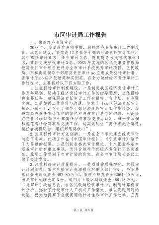 2024年市区审计局工作报告