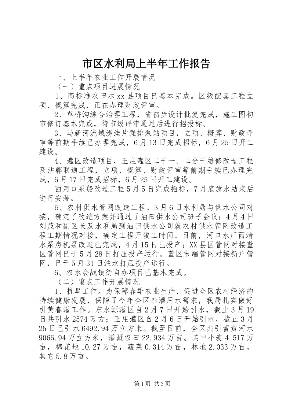 2024年市区水利局上半年工作报告_第1页