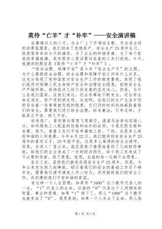 2024年莫待亡羊才补牢安全演讲稿