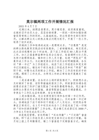 2024年莫尔镇两项工作开展情况汇报
