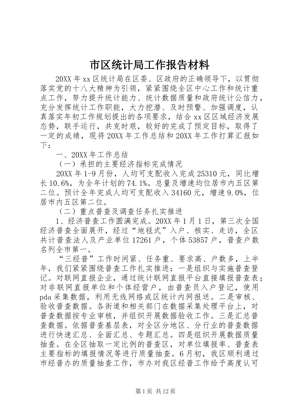 2024年市区统计局工作报告材料_第1页