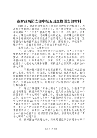 2024年市财政局团支部申报五四红旗团支部材料
