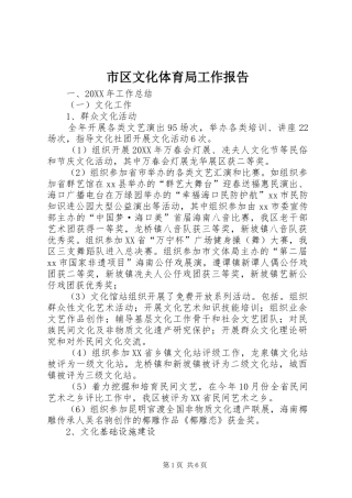 2024年市区文化体育局工作报告