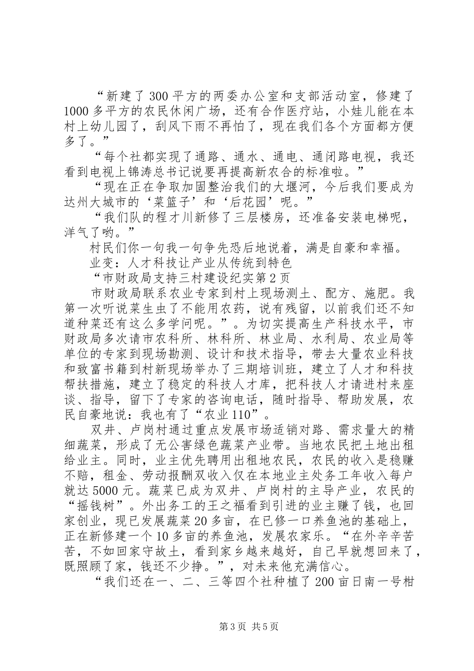 2024年市财政局支持三村建设纪实_第3页