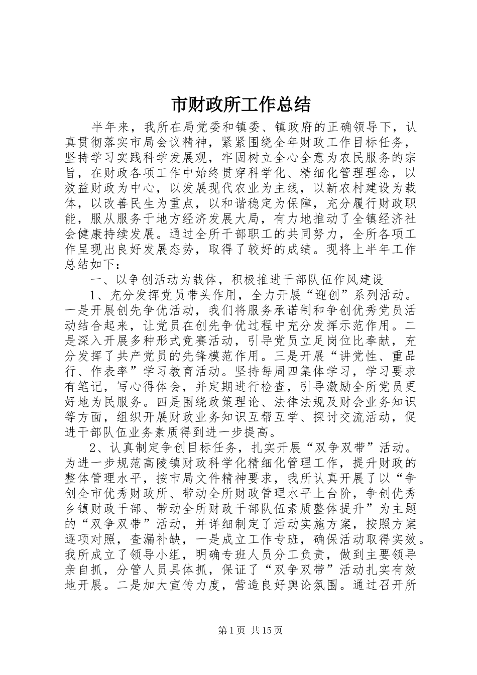 2024年市财政所工作总结_第1页