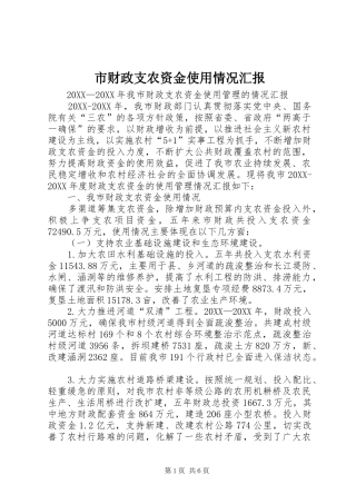 2024年市财政支农资金使用情况汇报