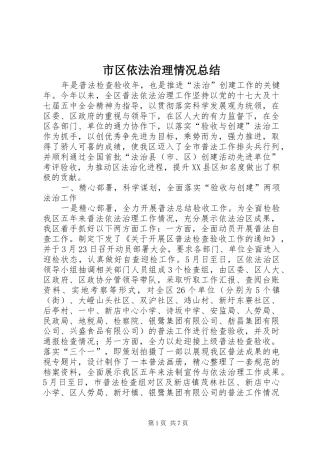 2024年市区依法治理情况总结