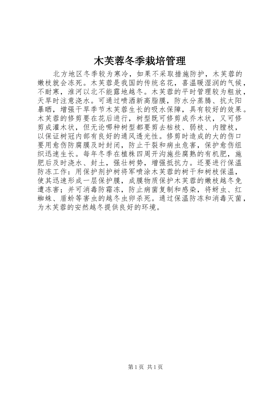 2024年木芙蓉冬季栽培管理_第1页