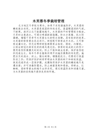 2024年木芙蓉冬季栽培管理