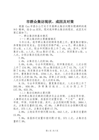 2024年市群众集访现状成因及对策